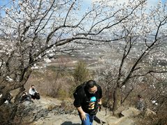 -阳台山自然风景区