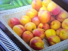 -尚荟汤泉生活馆