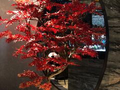 -红辣椒·川菜·火锅(大洋中心店)