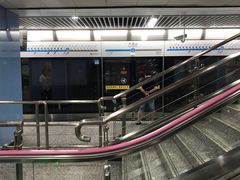 -大龙山(地铁站)