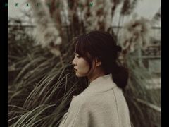 -白鹭湾湿地公园