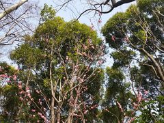 -上海长江河口科技馆