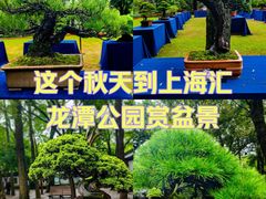 -汇龙潭