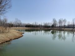 -东郊湿地公园