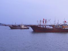 -丰收渔港饭店(嵊泗店)