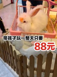 -Moni星球萌宠·小马宝莉·灵蛇·高端高阶全萌宠互动体验俱乐部(红豆国际广场店)