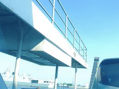 -长洲渡车船码头