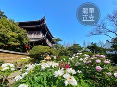 -龙华寺