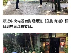 -晓雯人家