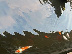 -庭苑美食中心·陈皮烧鹅·海鲜(台山店)