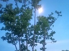 -马家湾湿地公园