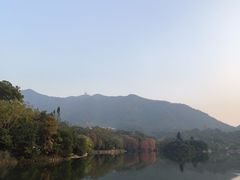 -深圳仙湖植物园