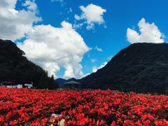 -广州市石门国家森林公园