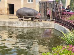 -合肥野生动物园