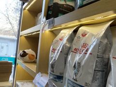 -美联众合动物医院·24h转诊中心