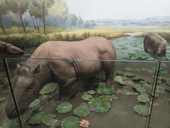 -浙江自然博物院(杭州馆)