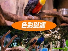 -正佳极地海洋世界