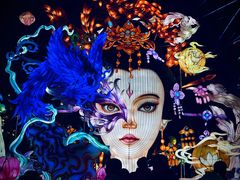 -淄博花灯齐彩城