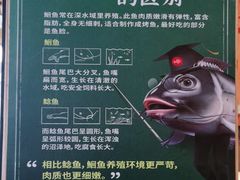 -鱼酷活鱼烤鱼(静安大融城店)