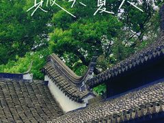 -上海醉白池公园