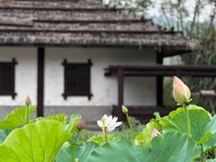 -西流沱小镇