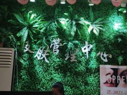 -苗方清颜专业祛痘连锁机构