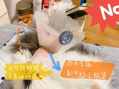 -悦宠凯宝动物医院·牙科·皮肤科(朝阳北路店)
