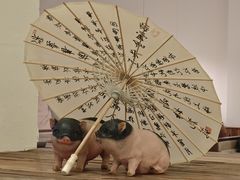 -春家·非遗手工小吃(徐汇万科广场店)