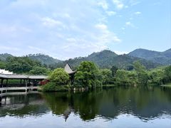 -黄陂区野村谷景区