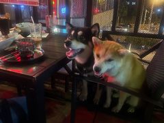 -安妮意大利餐厅(日坛店)