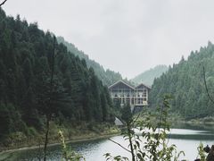 -武陵山森林公园