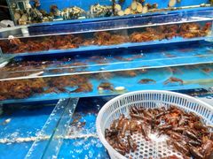 水产区-京贸物联批发市场
