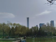 -团结湖公园