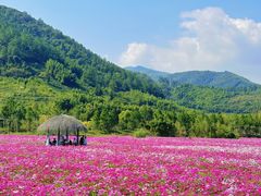 -径山花海