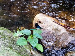 -众神白水涧景区