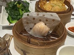 -食为先(Shark Fin)