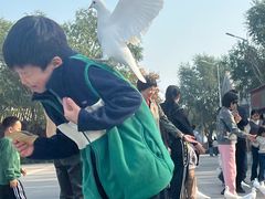 -天津妈祖文化园