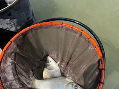 -酷鱼垂钓CLUB(朝阳区博大路店 )