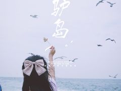 -海驴岛(荣成市)