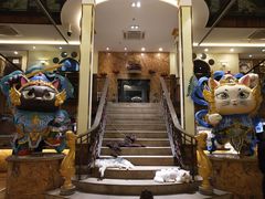 -more than meow吴止猫主题餐厅(承德 中船汇店)