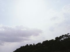 -东寨港红树林旅游区