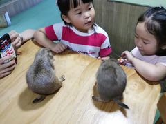 -藦茜花园宠物主题亲子互动体验馆(国顺东路店)