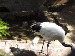 -昆明动物园