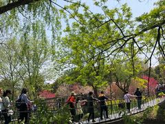 -南汇桃花村
