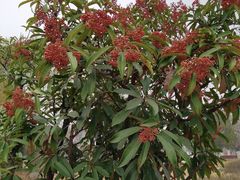 -济南国际园博园