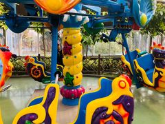 -南宫五洲植物乐园