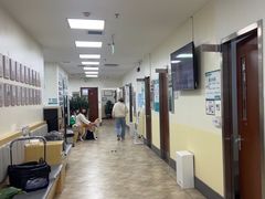 -美联众合动物医院·24h转诊中心