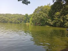 -紫霞湖公园