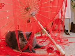 -第三空间·趣味桌游·轰趴.室内CS.剧本杀(大武汉1911店)