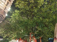 -山也·私厨(岳麓店)
